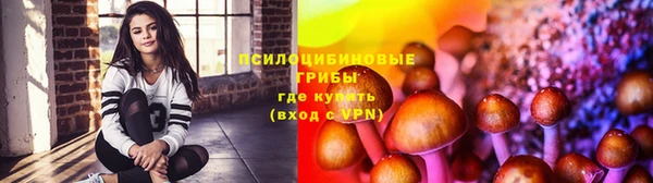 кокс Алзамай