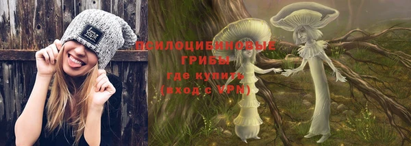 дживик Алексеевка