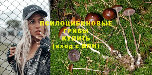 дживик Алексеевка